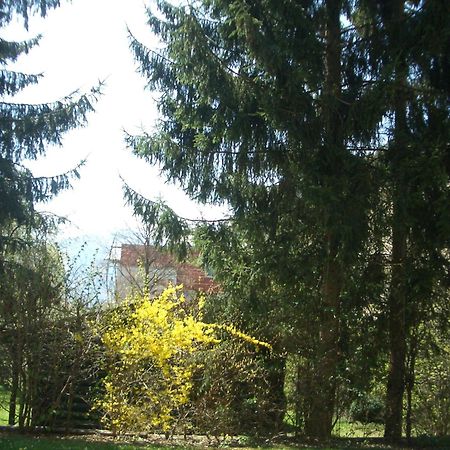 Gartenapartment Zell am See Luaran gambar
