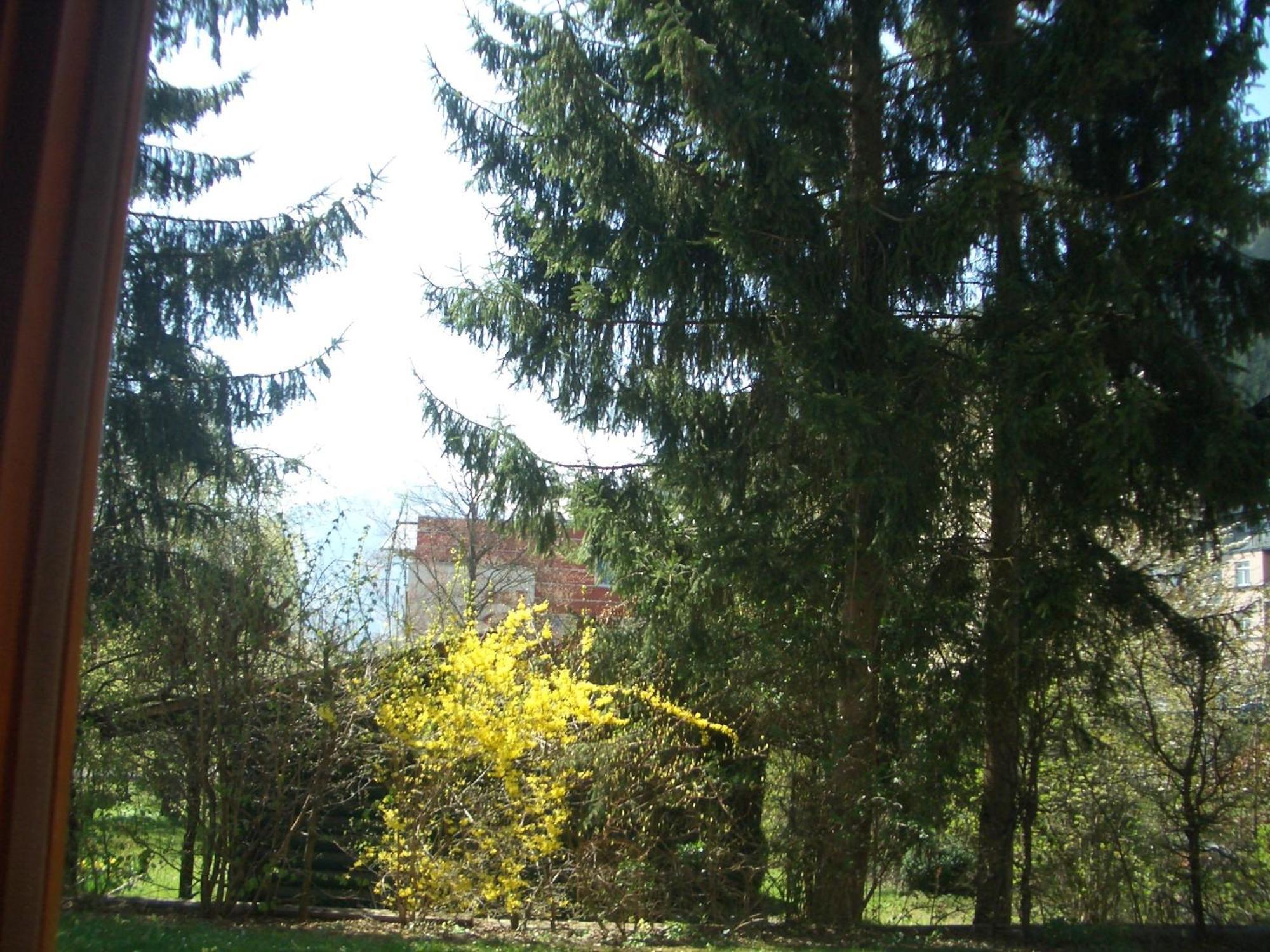 Gartenapartment Zell am See Luaran gambar