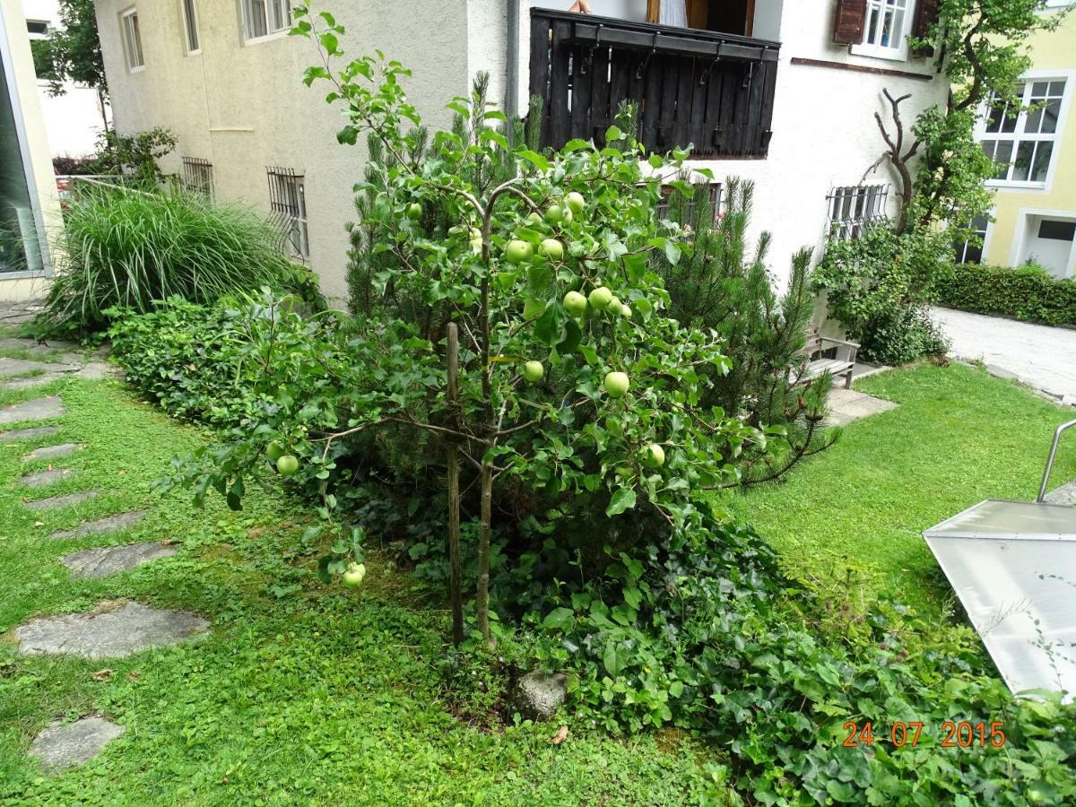 Gartenapartment Zell am See Luaran gambar